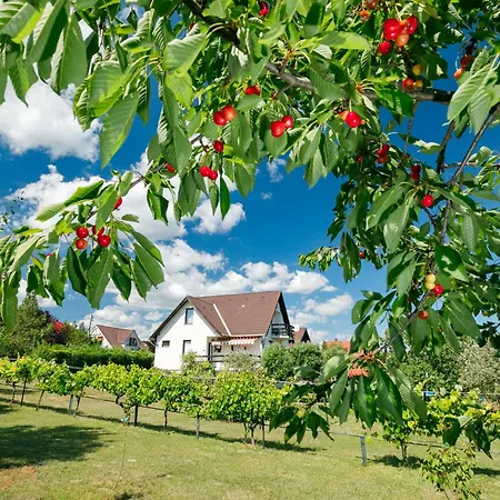 Prázdninový dům Antal By Interhome *