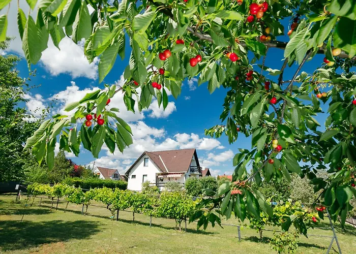 בית נופש Antal By Interhome *